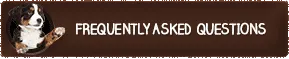 Frequently Asked Questions