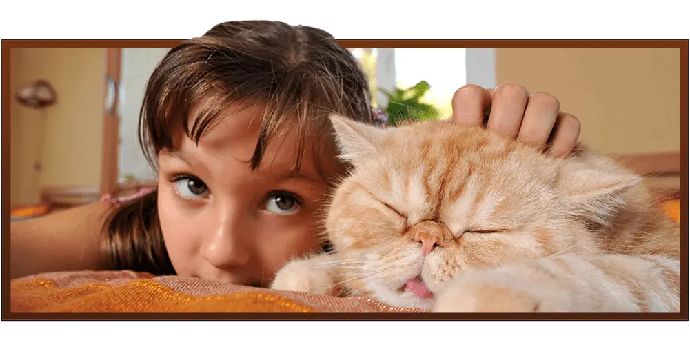 A girl with her brown cat.